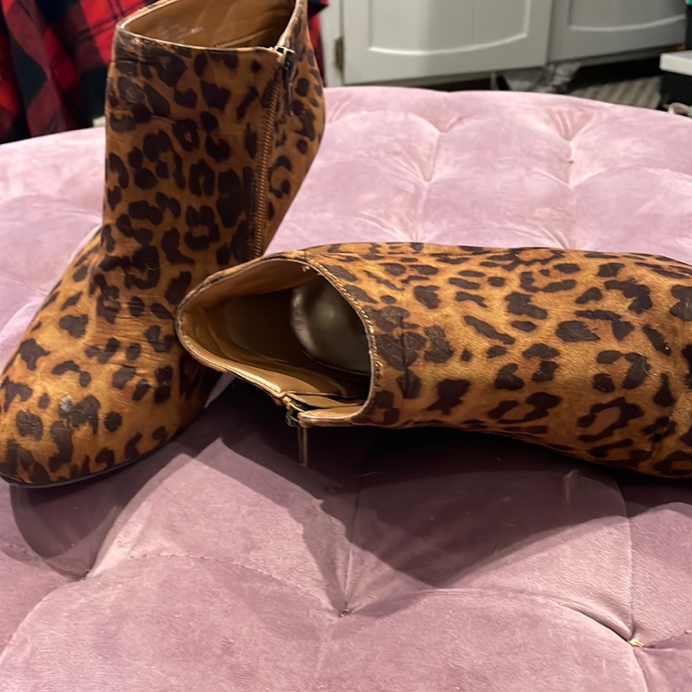 Madden Girl booties